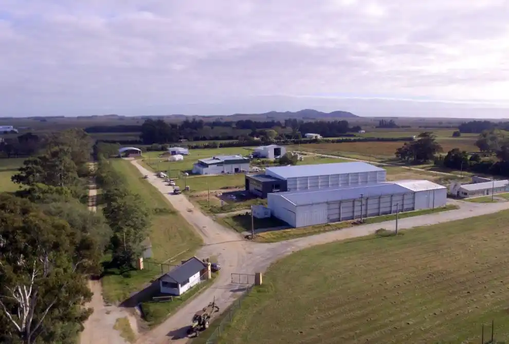 El crecimiento industrial. Dinamiza la economía de Balcarce