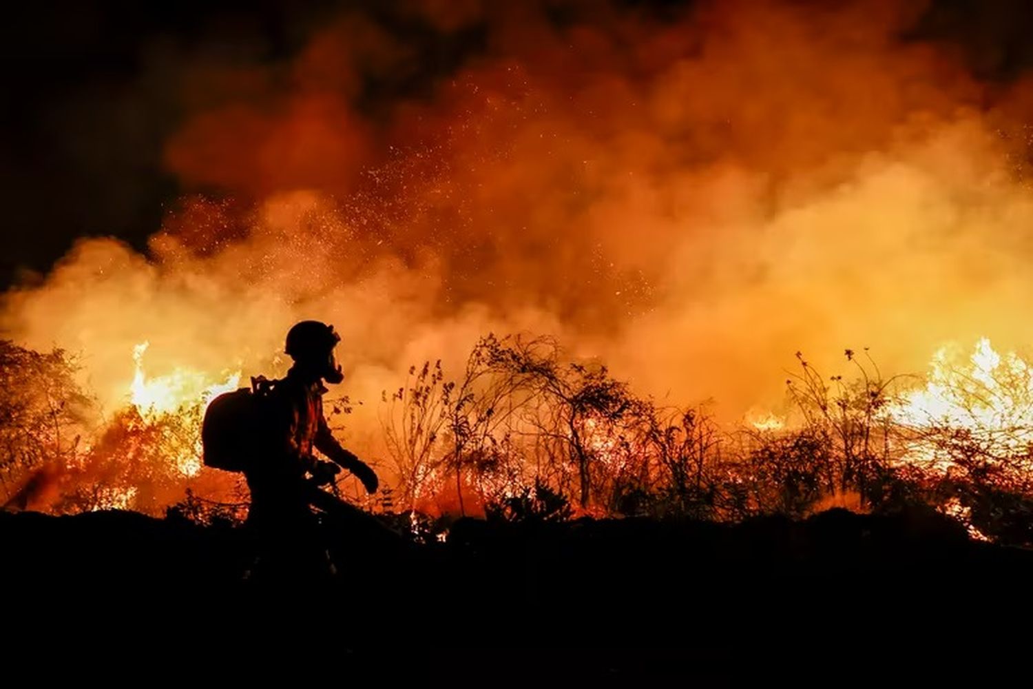 Un bombero trabaja en la extinción de un incendio en el Pantanal, un vasto humedal compartido por Brasil, Bolivia y Paraguay.