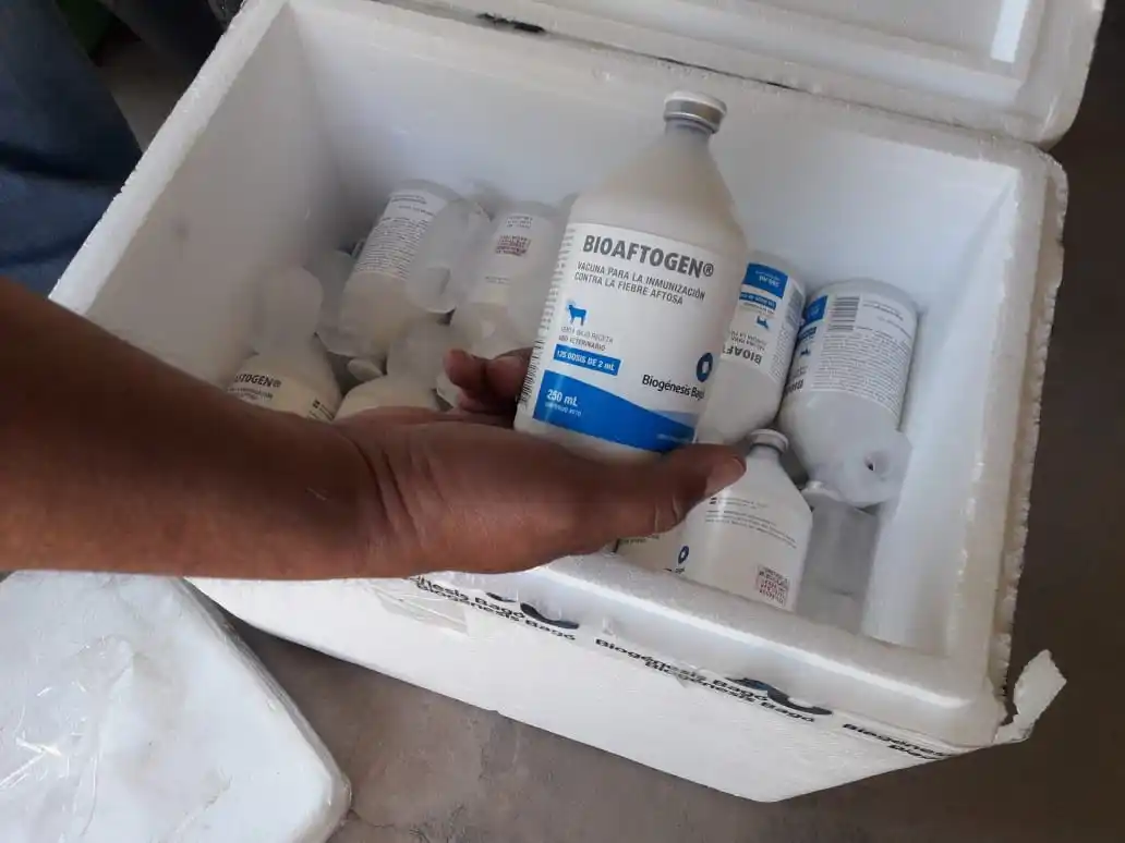 La voz del productor: Gasoil restringido y vacunas de aftosa carísimas