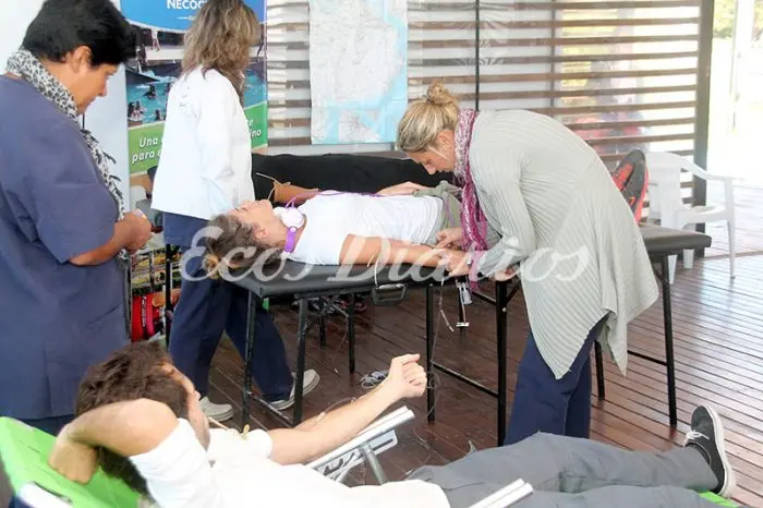 Registrarán a voluntarios para donar médula ósea