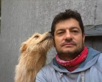 Nuevo paradigma: proponen castrar 15 mil animales por año para controlar la fauna urbana