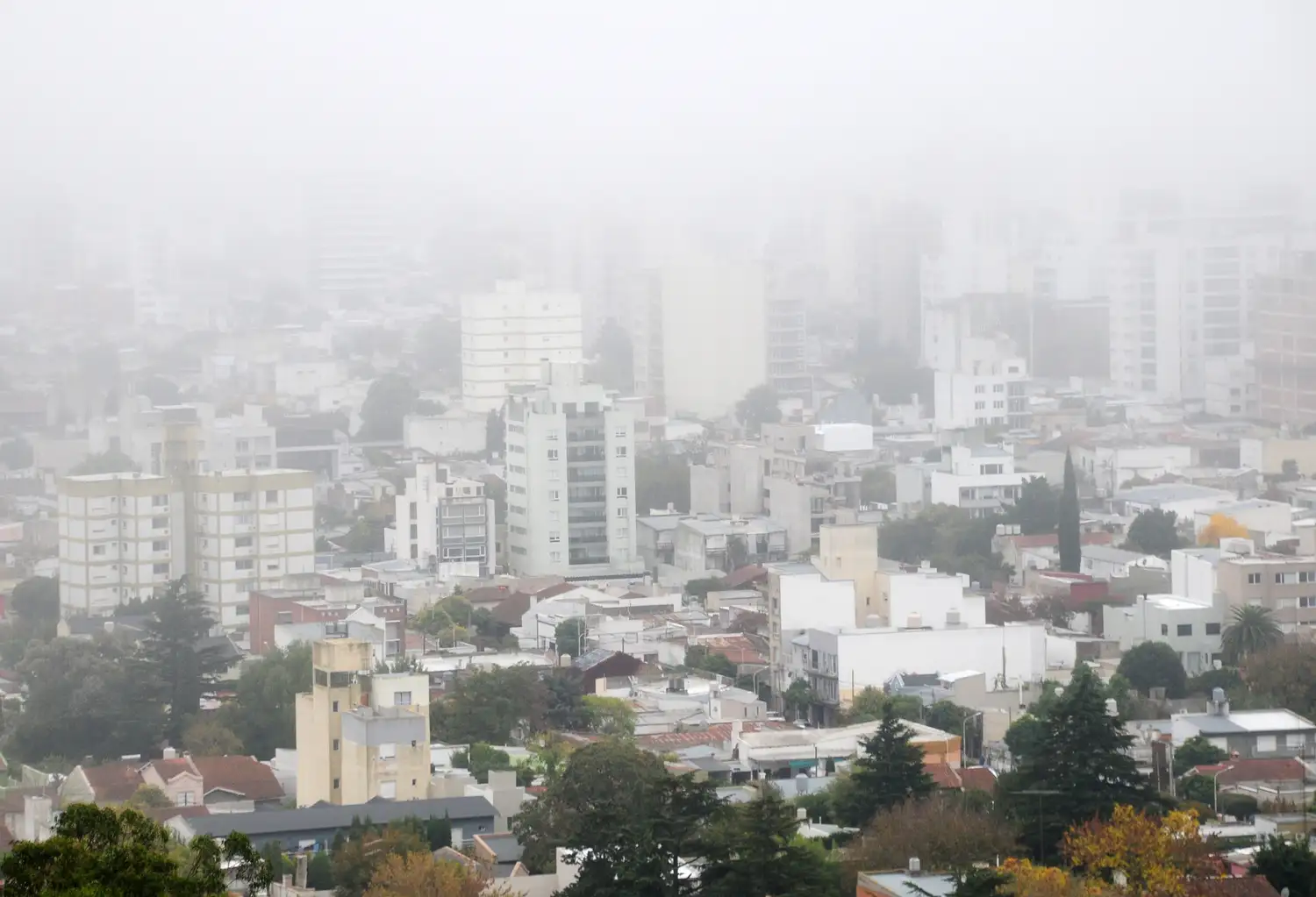 Alerta violeta por un banco de niebla que cubre Tandil