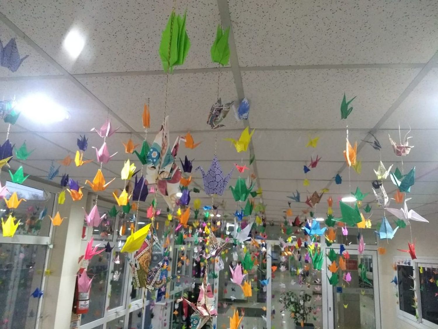 El jardín Salta Violeta instaló mil grullas en el Hospital para agasajar a los niños