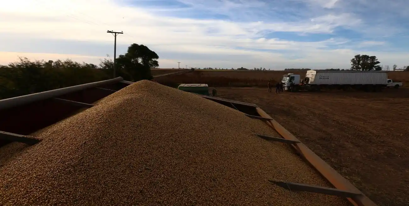 En lo que va del 2025 las importaciones chinas de soja llegan a las 70 Mt, máximos históricos para los primeros siete meses del año.