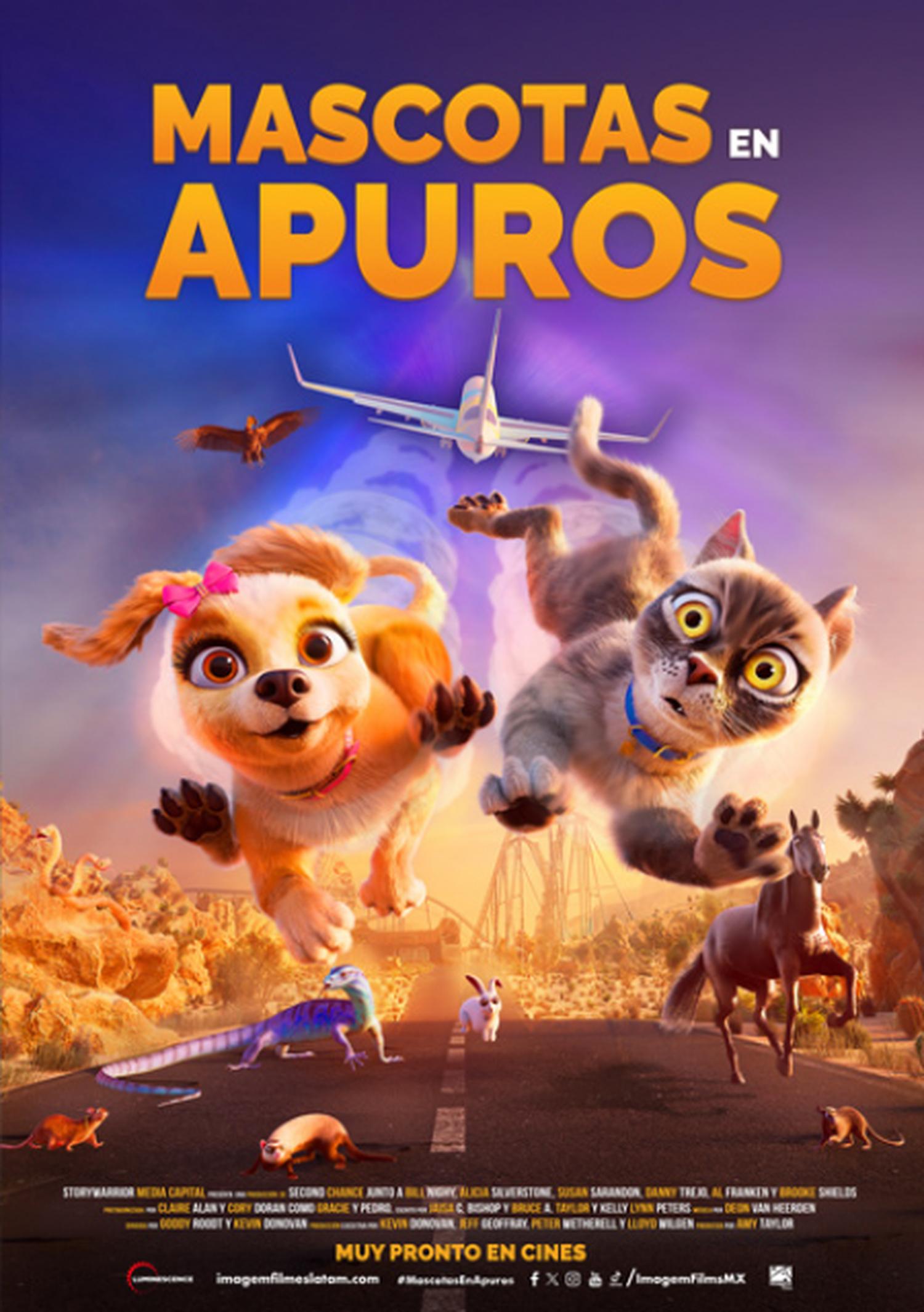 mascotas en apuros