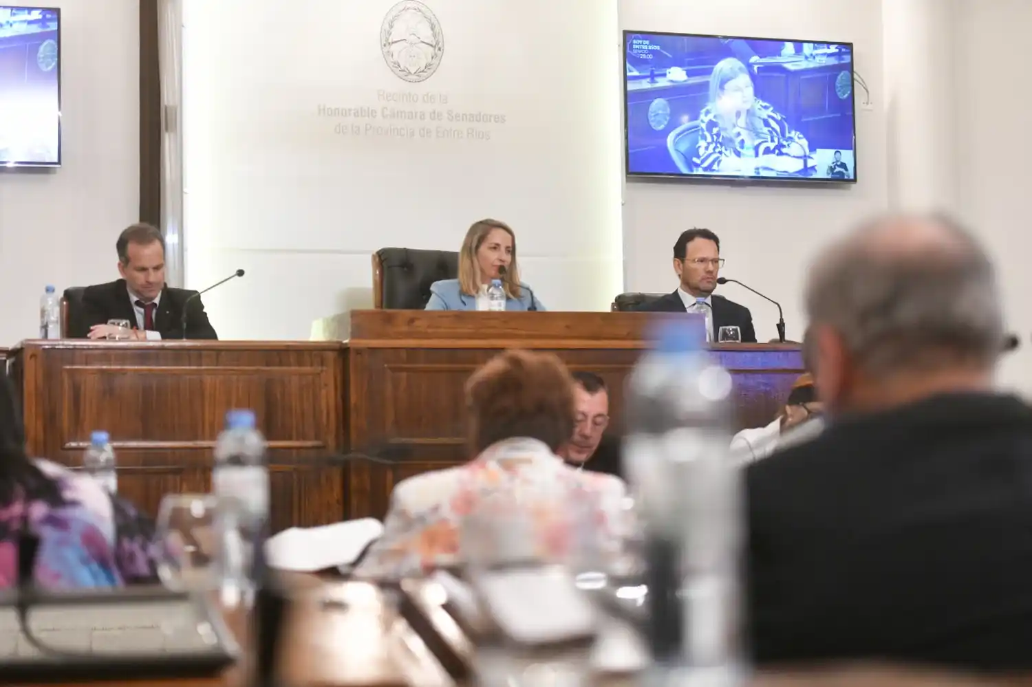 El Senado aprobó por unanimidad el Presupuesto Provincial 2024