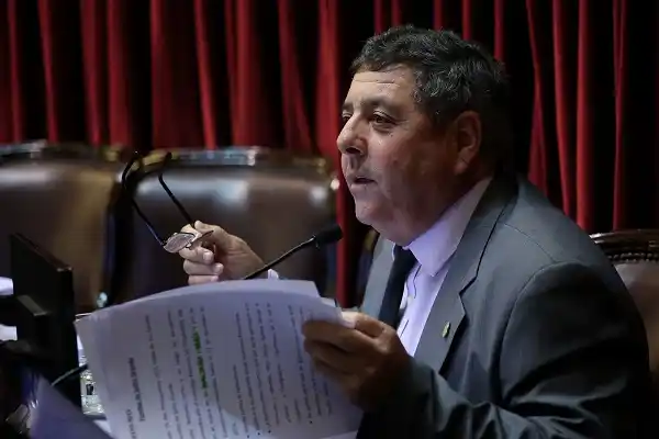 Proponen que el Senado declare de interés la Marcha al puente