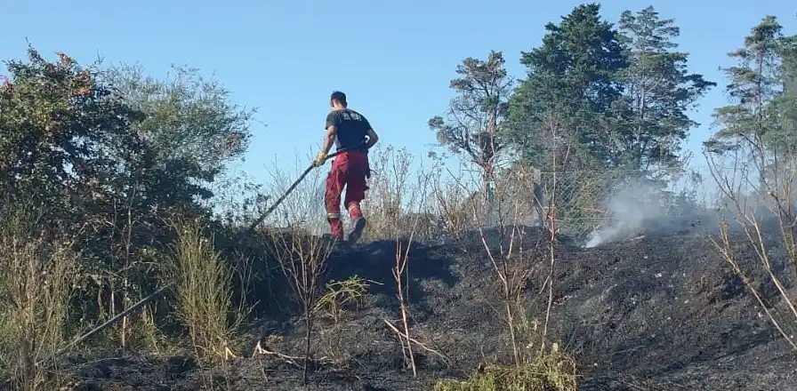incendio toma movediza 08-02-25 - 1
