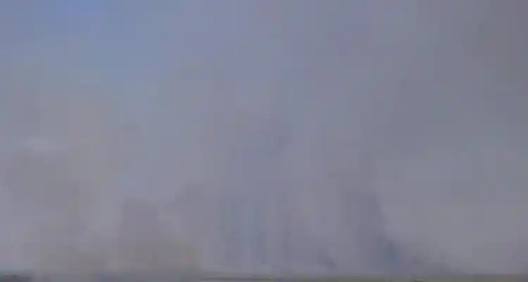 Primera acción en las islas