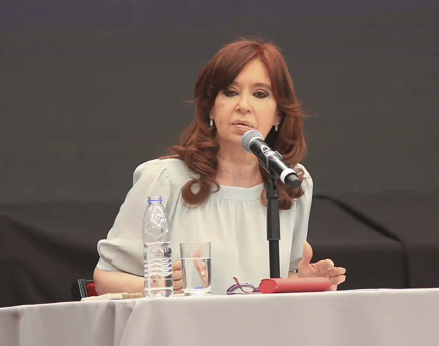 Cristina Kirchner demanda a Google y reclama una pericia informática