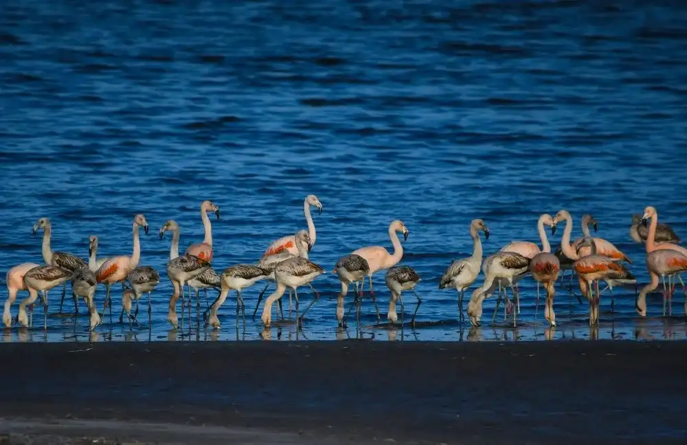 laguna epecuen