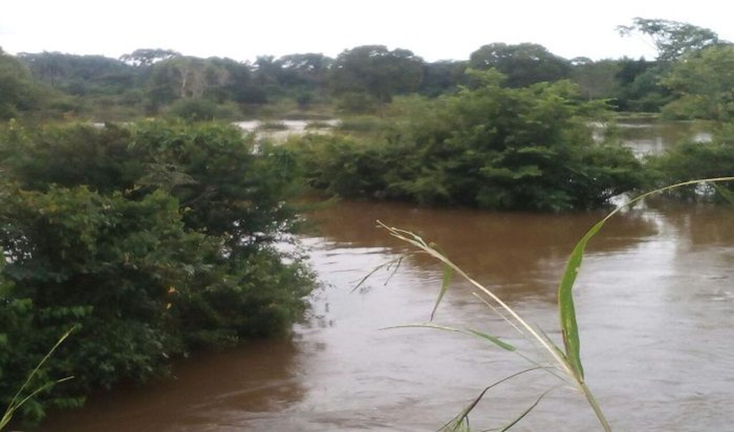 Localizan los cuerpos de tres menores que se ahogaron durante ritual religioso en Apure
