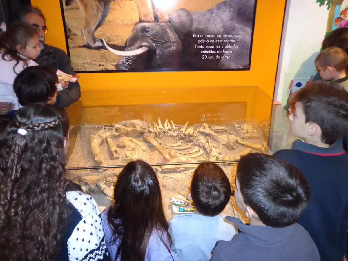 Este domingo abrirá el Archivo Gráfico y Museo