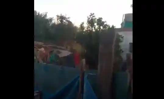 Mató a mazazos a su perra en Córdoba: alertan que tiene más animales