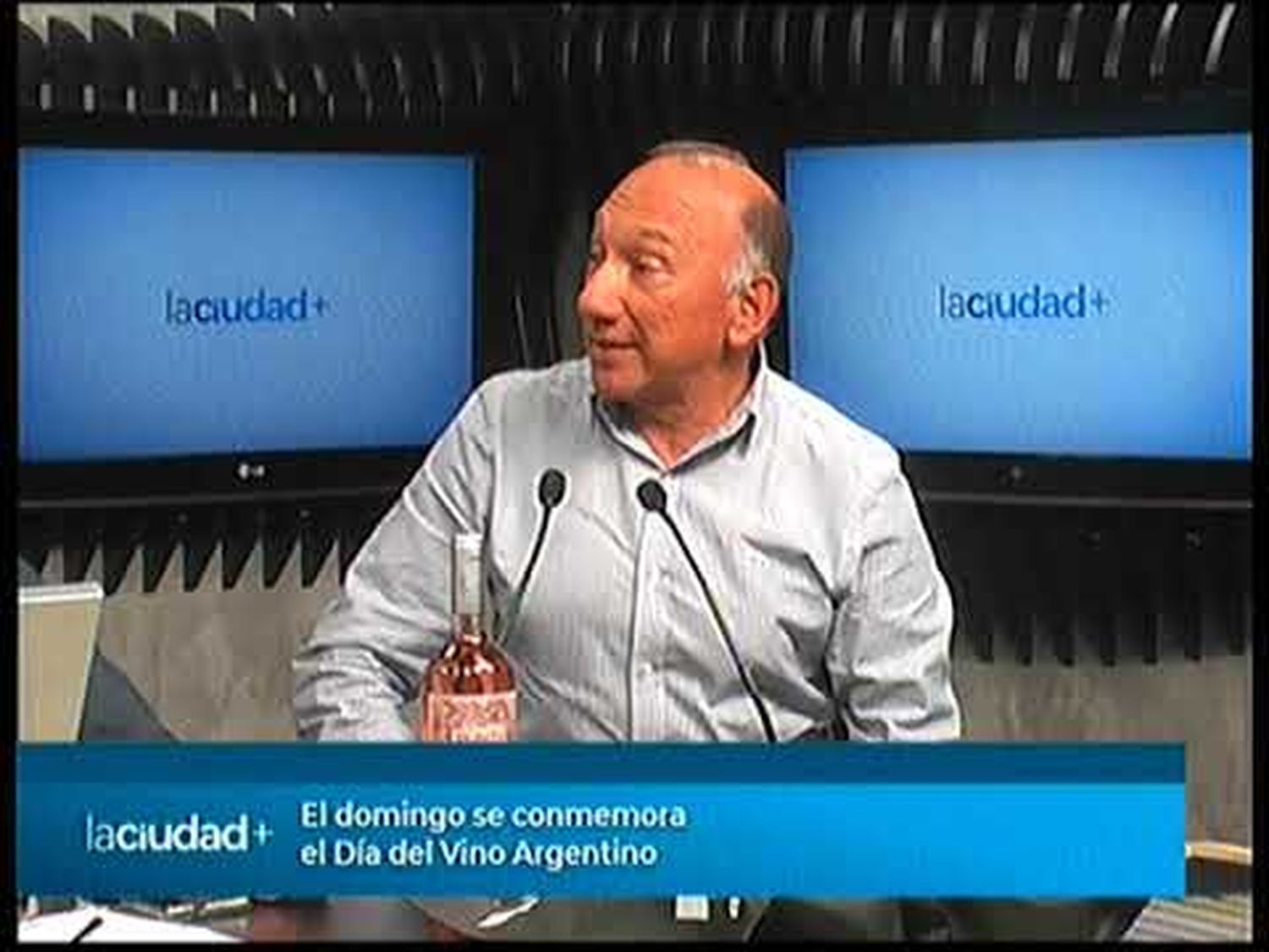 El domingo se conmemora el Día del Vino Argentino | La Ciudad