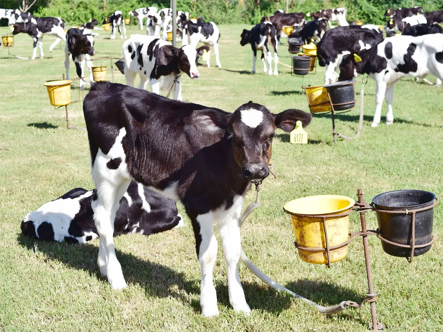 Están vigentes las líneas de crédito a valor producto para productores entrerrianos