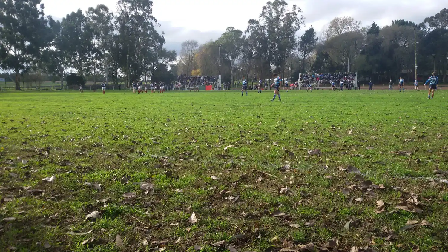 La primera suspensión