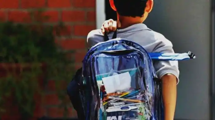 Villarino: Preocupación por un niño que llevó un arma a la escuela 
