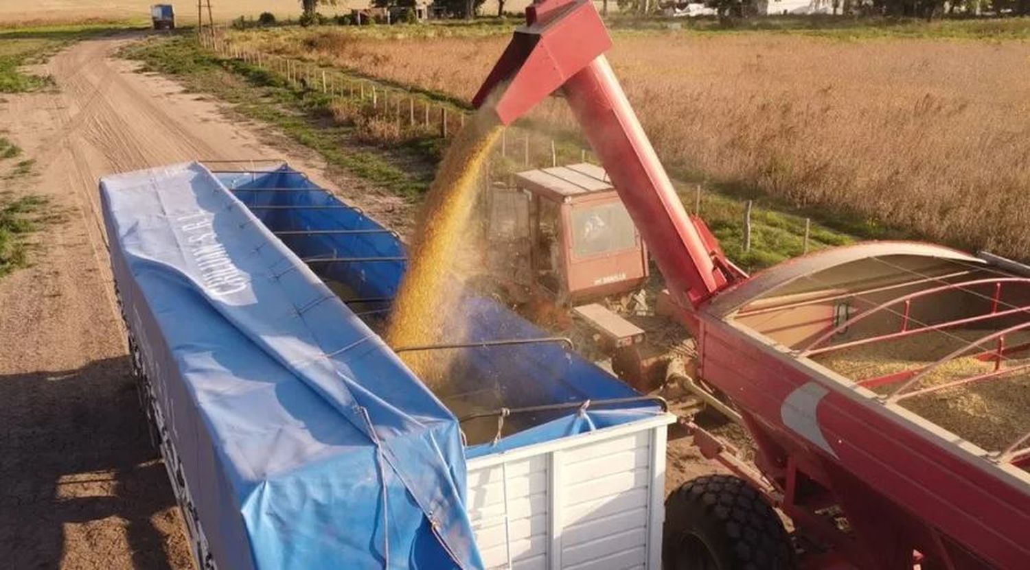 Especialistas agrarios afirman que Entre Ríos perderá 400 millones de dólares, sólo en esta campaña