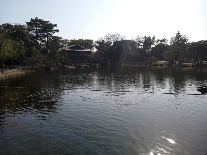 japón - 4