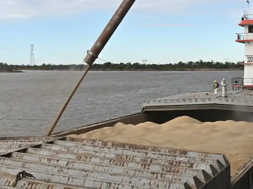 Las exportaciones de harina de soja estadounidense entre enero y julio alcanzaron las 9 Mt,. Argentina sigue liderando el segmento a nivel mundial.