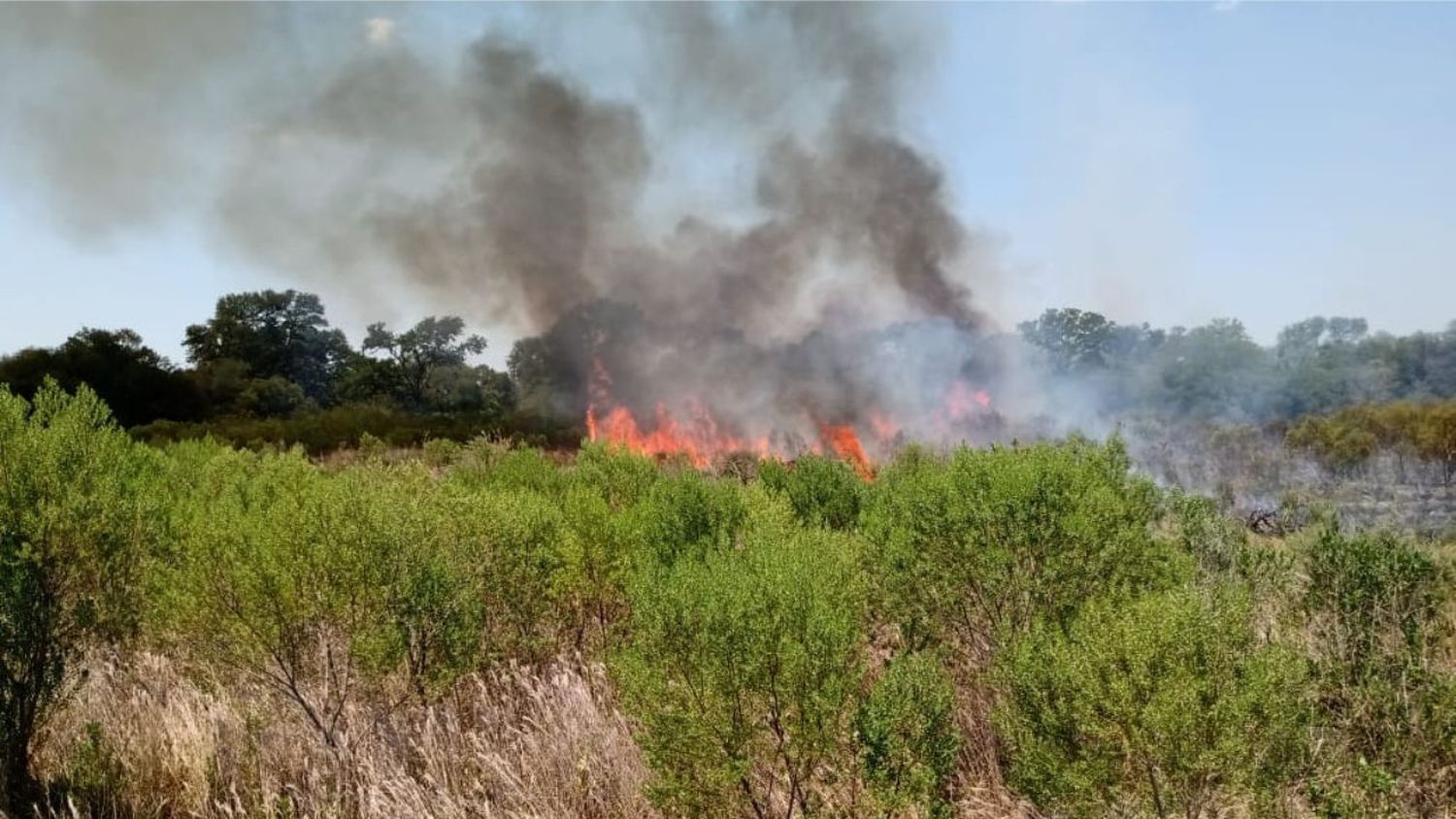 Incendio en La Sarita