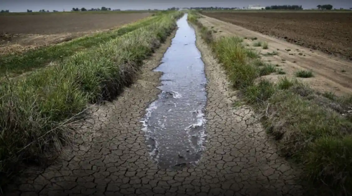 suelos entrerrianos campo - 3