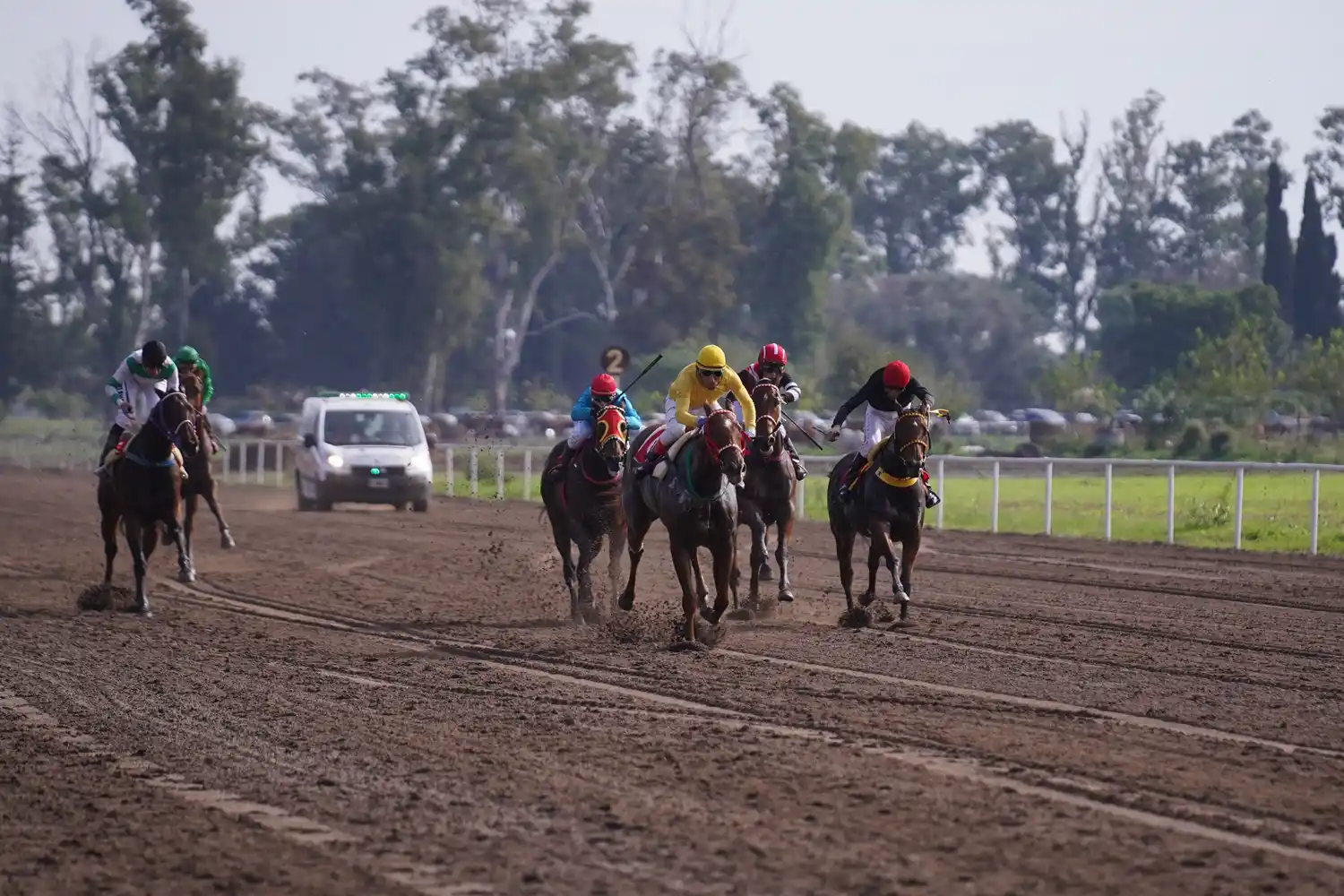 Nuevo domingo de turf en San Francisco.