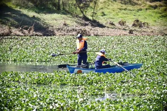 Limpieza profunda en Arroyo Manzores