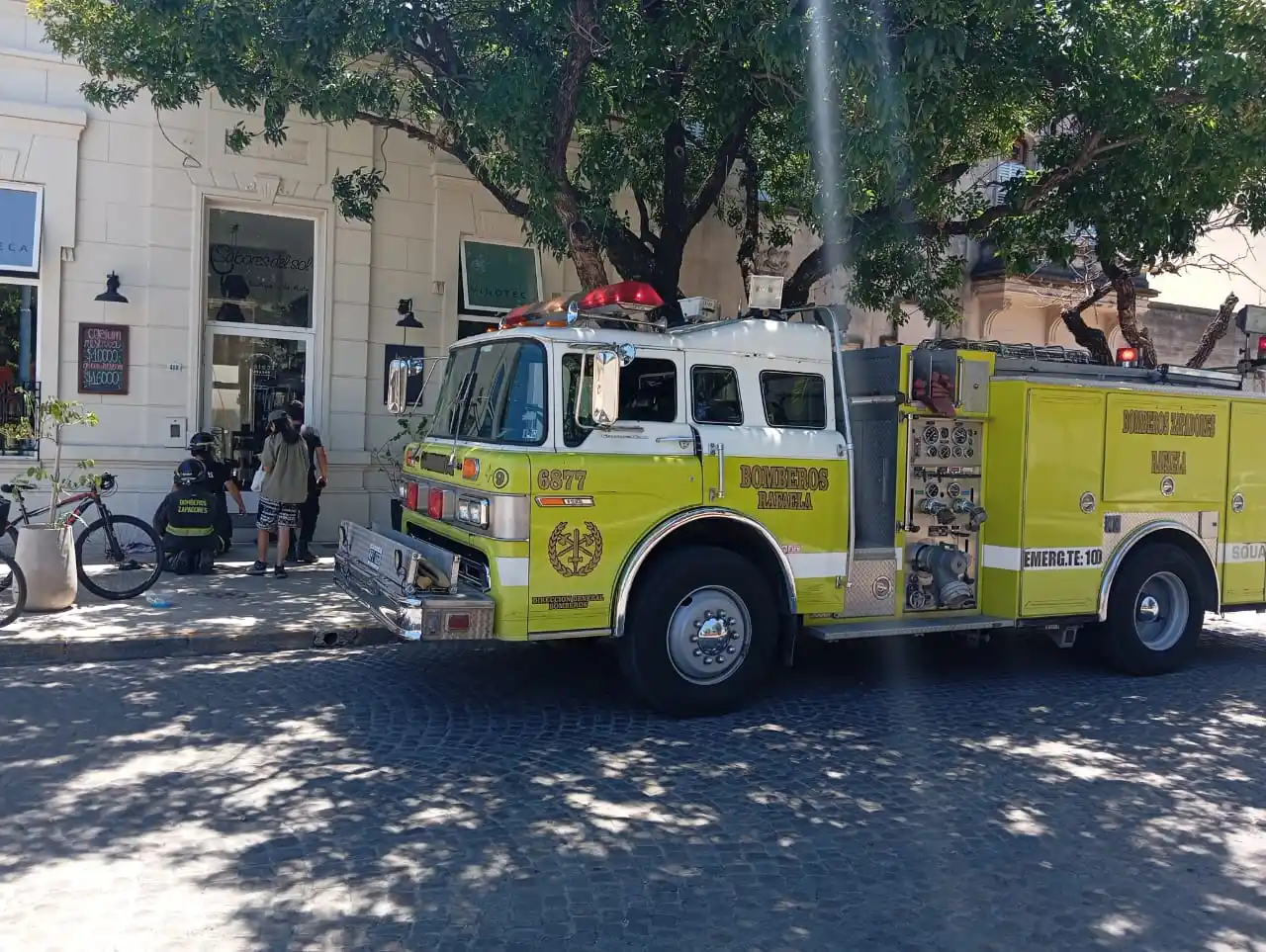 rescate de gatito bomberos zapaores de rafaela - 2
