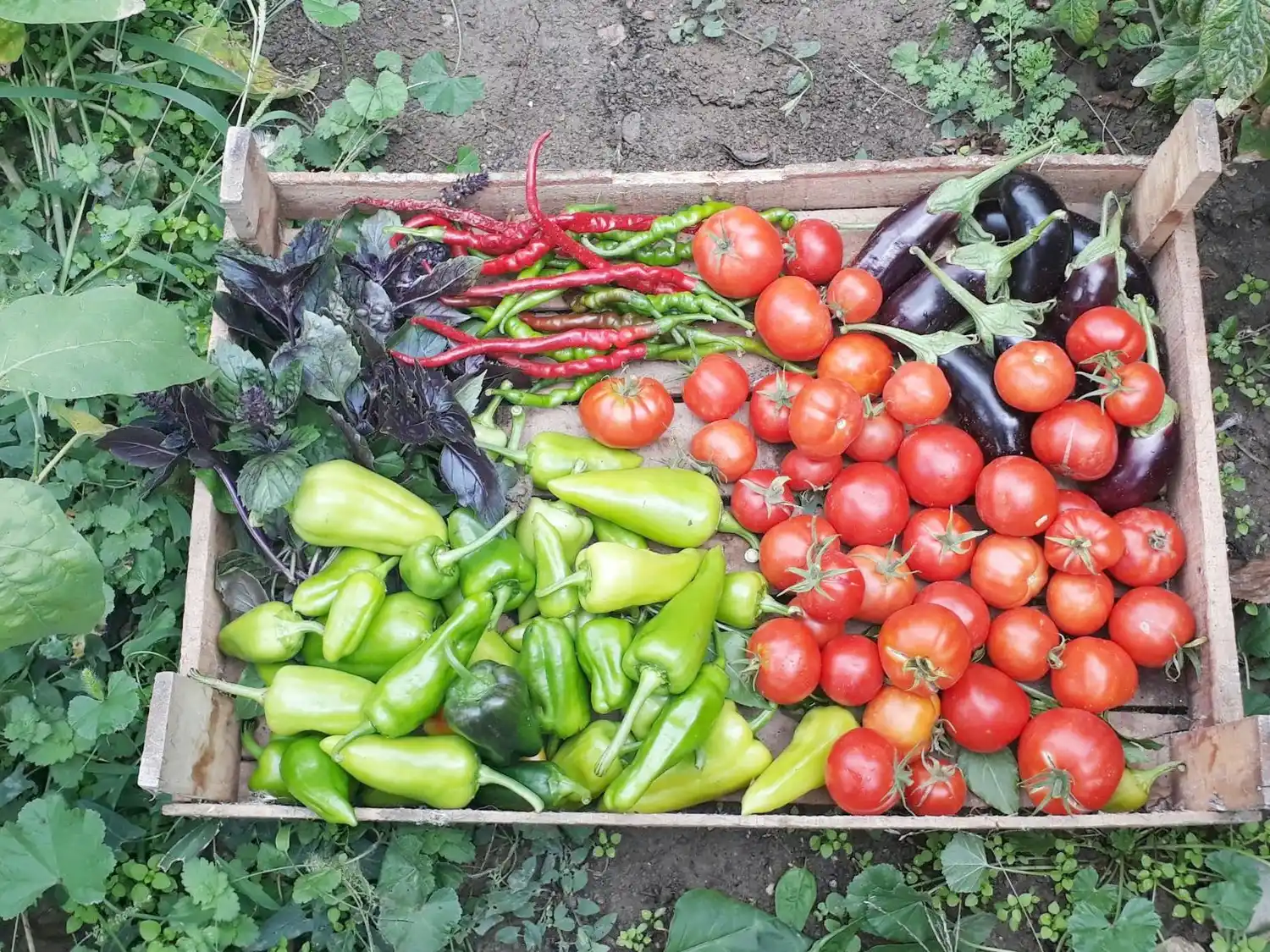 La provincia impulsa sus sistemas productivos ecológicos desde las comunas