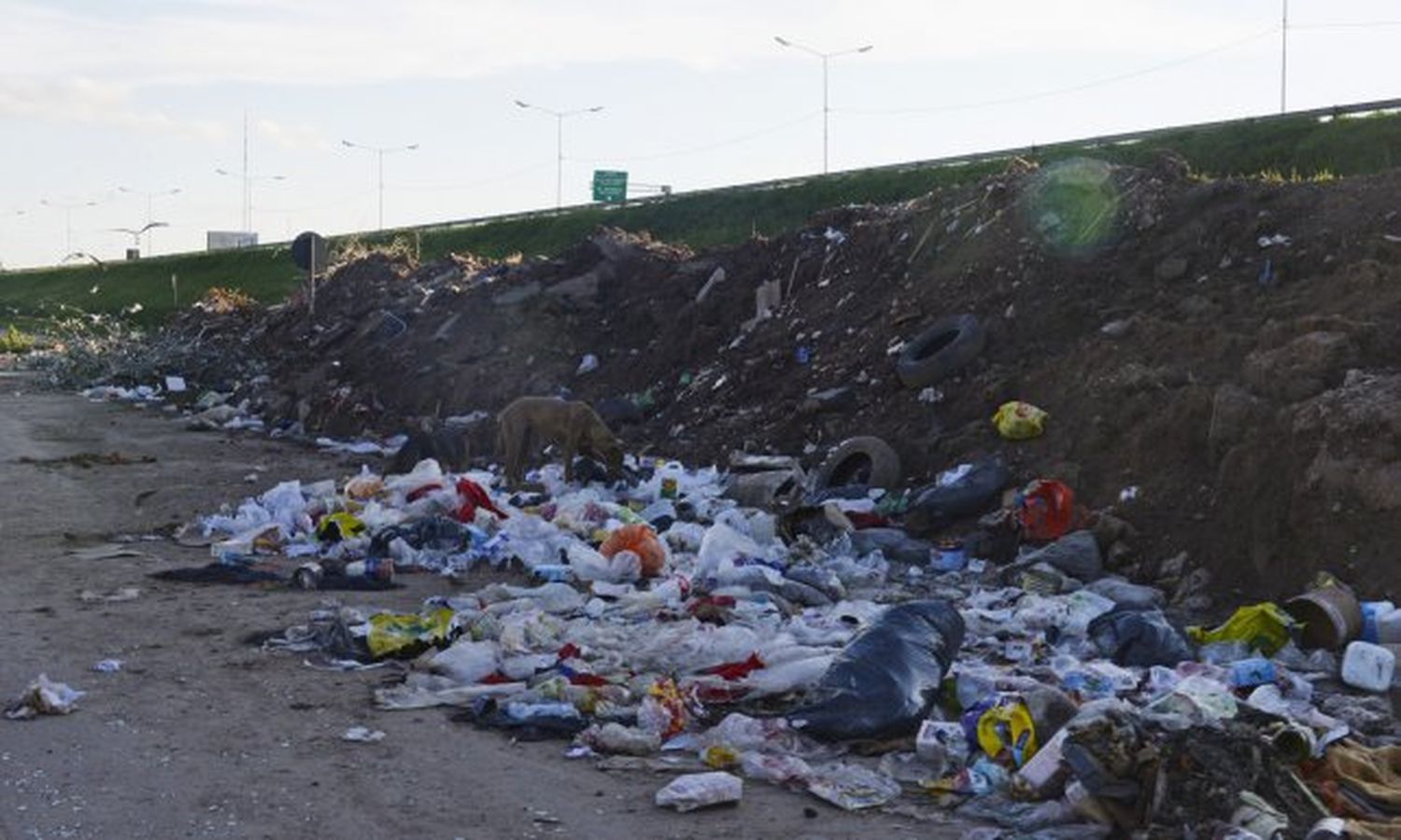 Detectaron 461 minibasurales crónicos en espacios públicos
