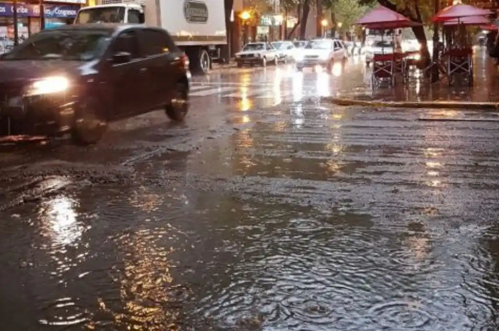 Caída de árboles, destrozos e inundaciones dejó un fuerte temporal en Mendoza