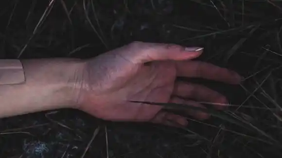 MATARON UNA MUJER CADA DÍA: las lamentables cifras de femicidios en Venezuela, durante julio