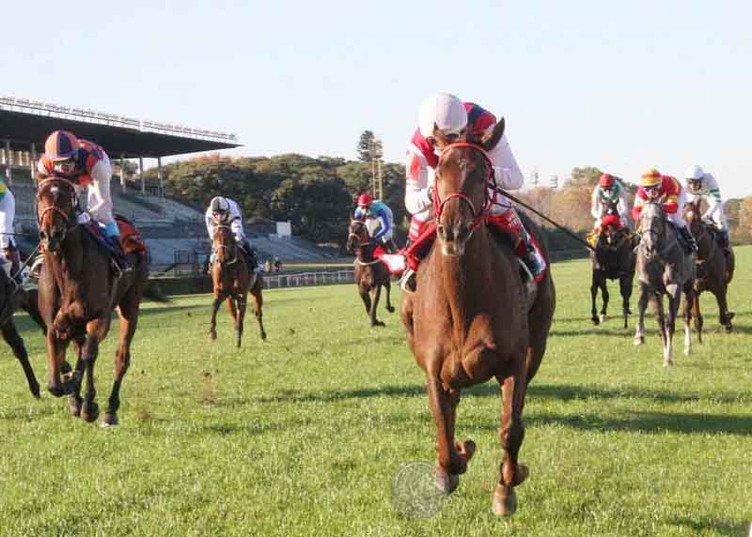 Miércoles 9: Actividad Hipódromo de San Isidro