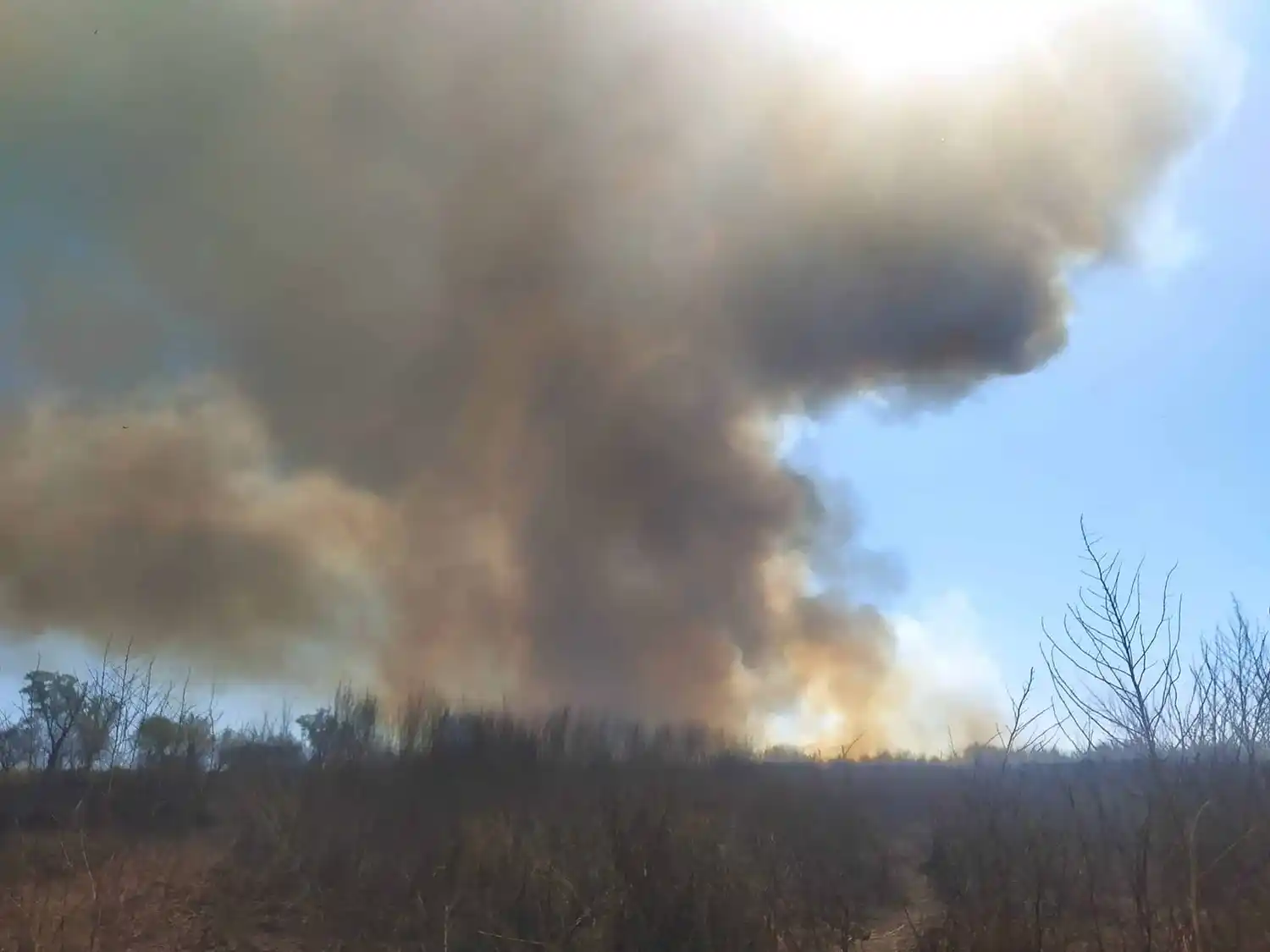 Acusados de incendios en el Delta deberán ir a juicio
