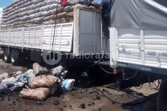Detuvieron al conductor de un camión por transportar carbón y leña sin documentación