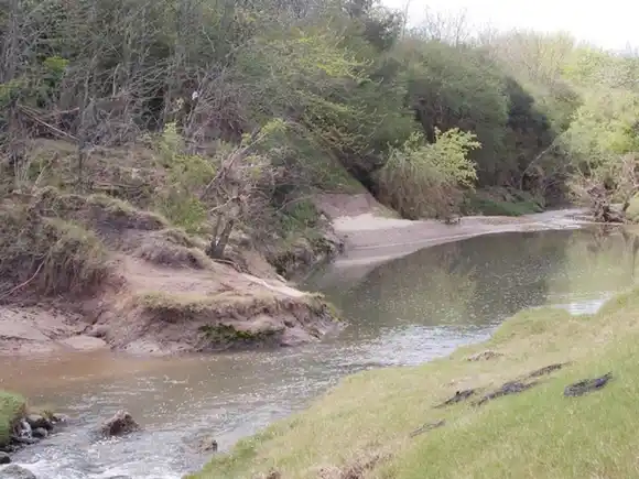 En Galarza se realizará una jornada sobre Patrimonio Natural Entrerriano enfocada al Turismo de Naturaleza