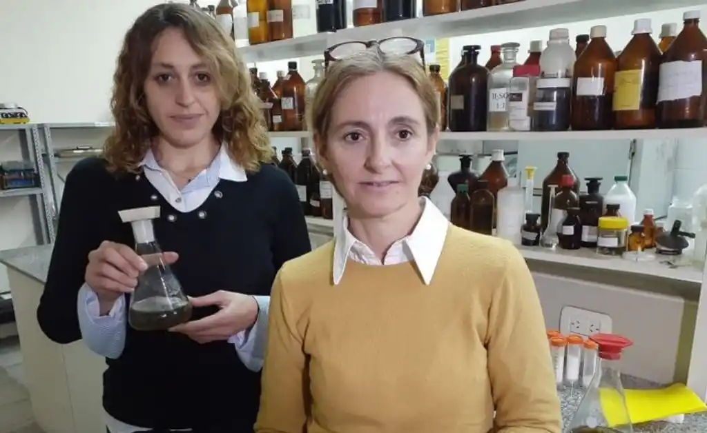 Científicas de La Plata crearon un spray que repele y elimina el coronavirus