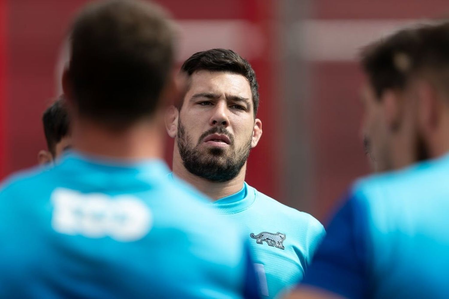 Los Pumas tiene plantel para la serie con Australia
