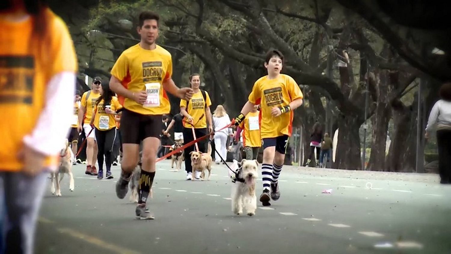 El domingo se realizará una maratón con mascotas