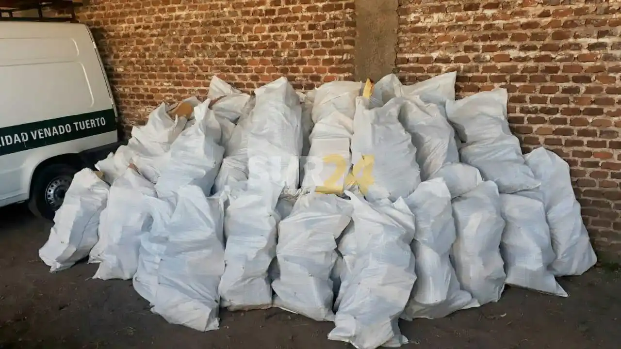 Hace dos inviernos que se vienen entregando los restos de poda