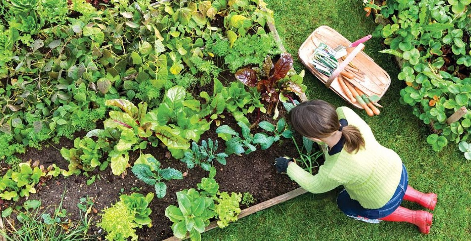 Elevaron un proyecto para producción agroecológica en las escuelas rurales