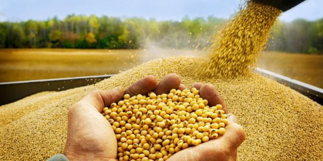 Coronavirus: afectó al mercado de granos