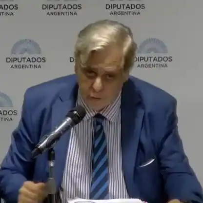 Compendio de la exposición científica sobre Covid y vacunación en Diputados