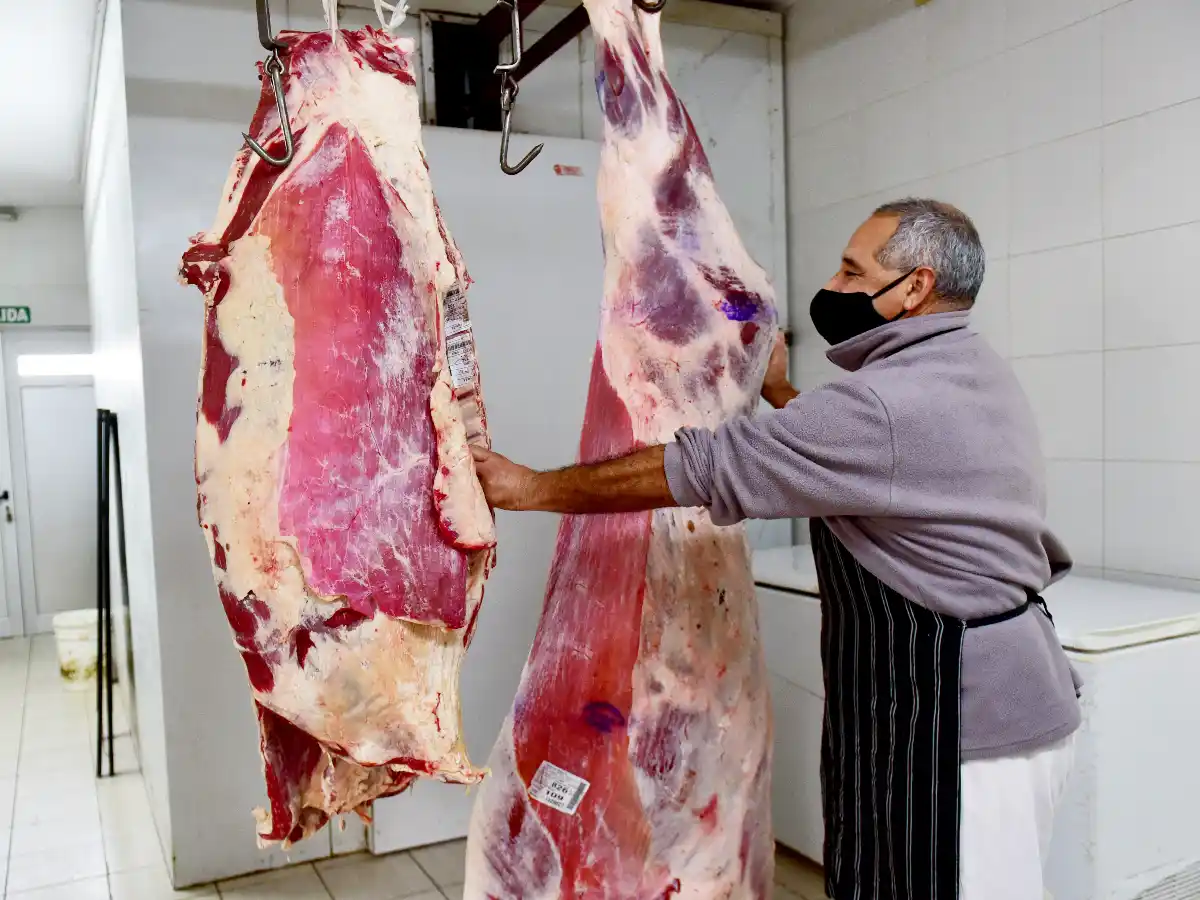  Carne: salarios se achicaron 30 % por la caída del consumo 