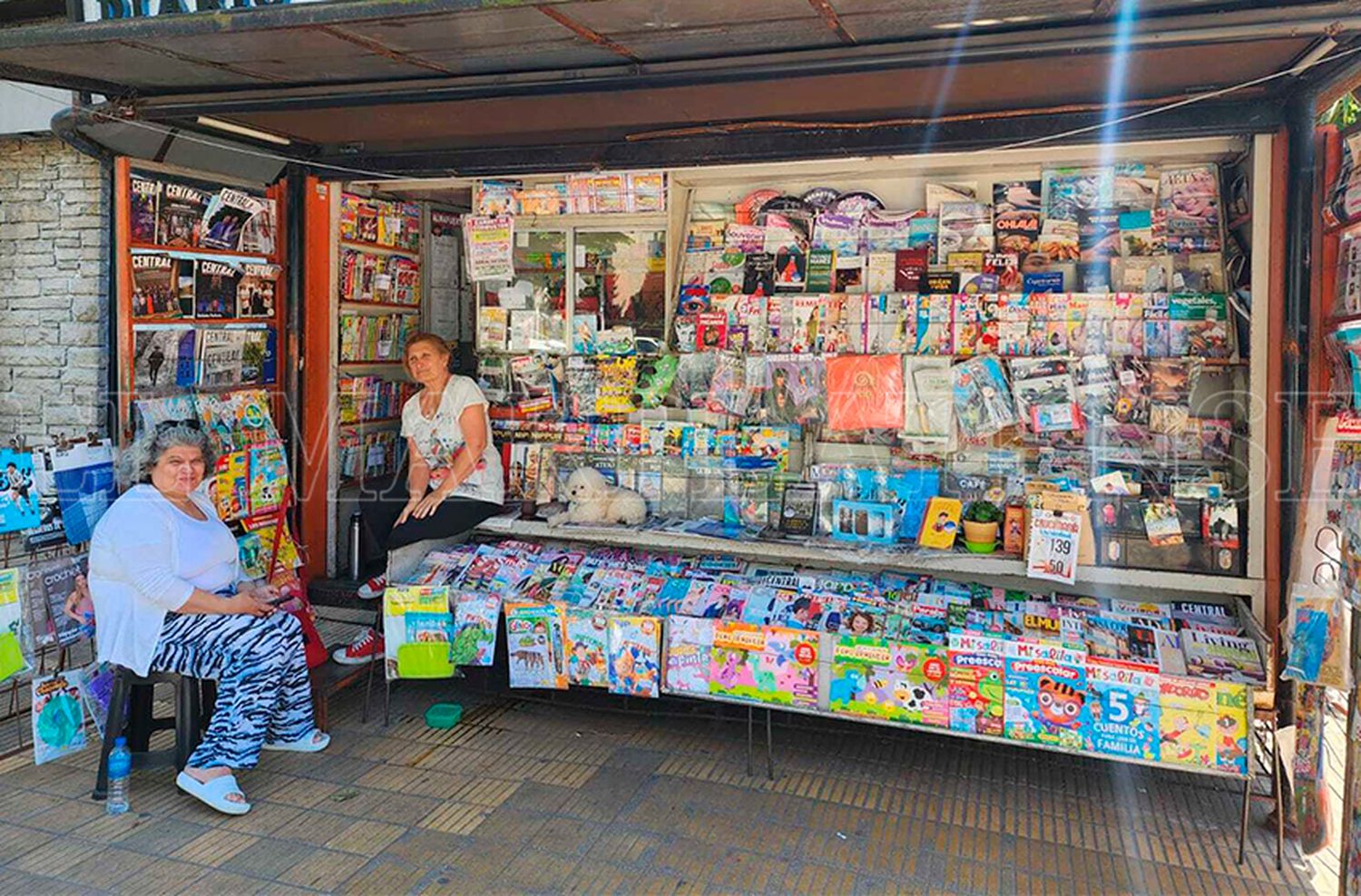 Suman rubros a los kioscos de diarios y revistas para contener la crisis del sector