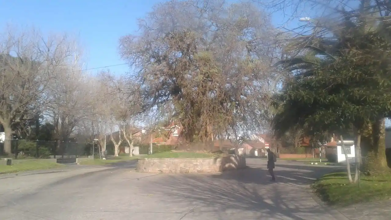 El barrio Santa Mónica es considerado uno de los pulmones verdes de Mar del Plata por su cercanía a la reserva Navarro.