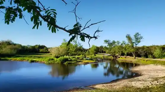 Triste final: hallaron el cuerpo de la mujer que había caído a un arroyo
