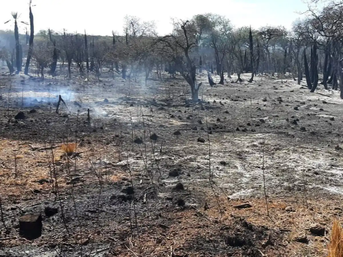 Continúa siendo extremo el riesgo de incendios en la provincia